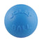 Jolly Pets Bounce N Play Ball