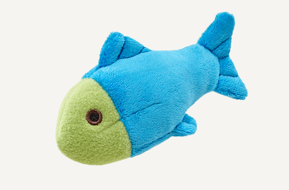 Fluff & Tuff Molly Fish