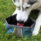 Zippy Paws Adventure Bowl