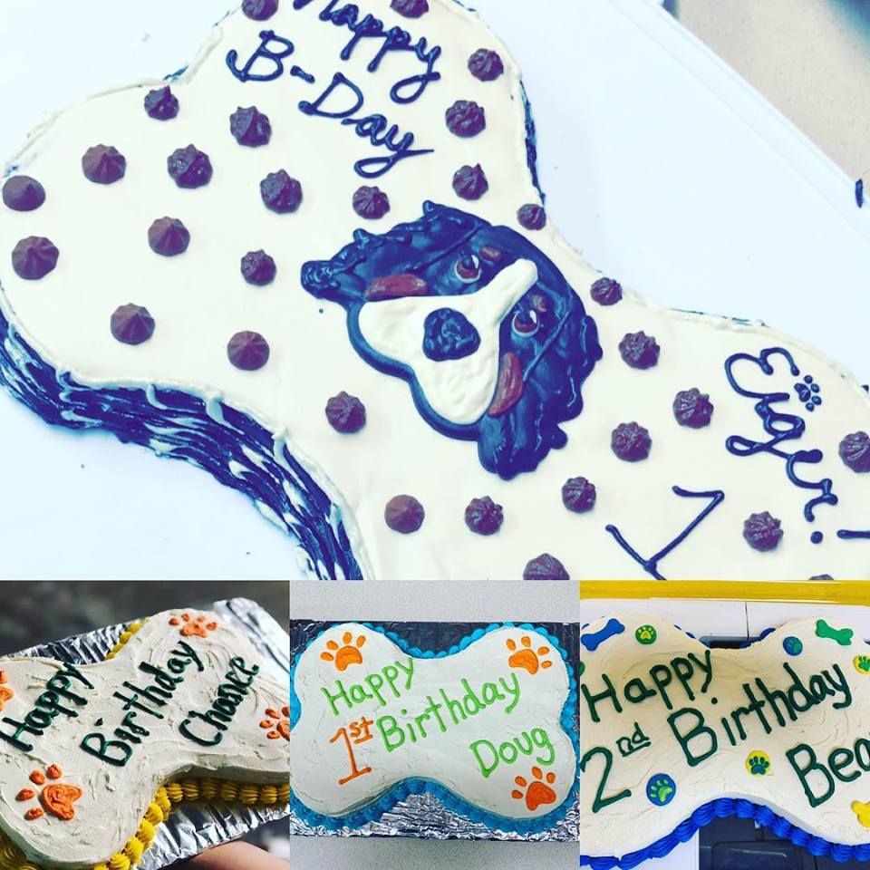 Hipster Hound Custom Cakes