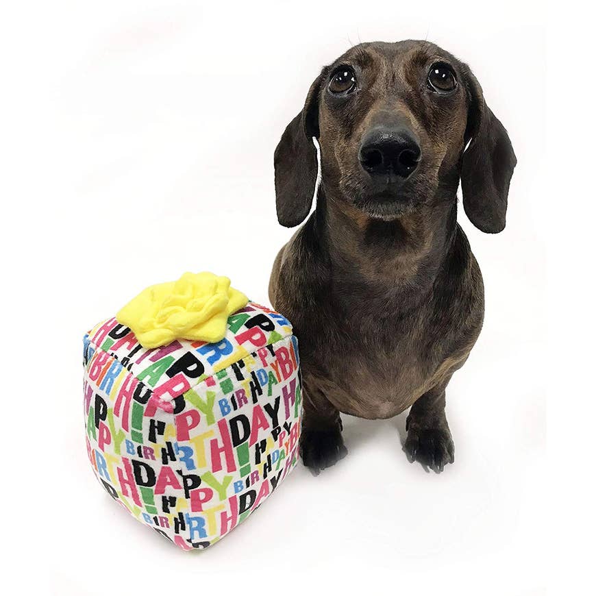 Singing Happy Birthday Gift for Dogs Plush Toy