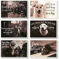 Dog Speak Greeting Cards