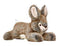 Fluff & Tuff Reese Rabbit