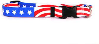 Yellow Dog Design Collar, Americana