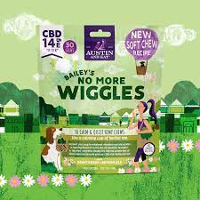 Austin & Kat Bailey's No More Wiggles, 30 Count
