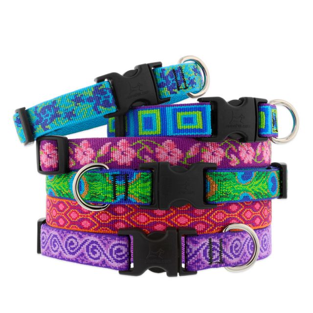 Product Profile: Lupine Collars and Leashes