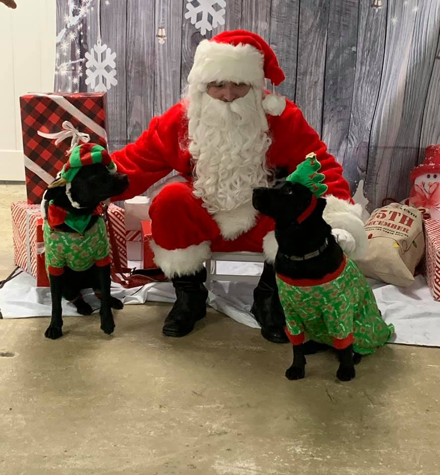 The Hipster Hound to Host Pet Photos with Santa on December 3