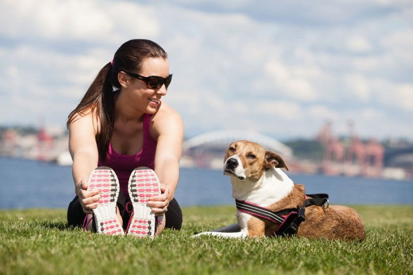 Working Out and Getting Fit with Your Dog