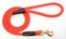 Mendota 1/2" x  6' Snap Leash