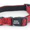 ROK Dog Collar, Medium