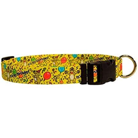 Yellow Dog Design Collar, Happy Birthday