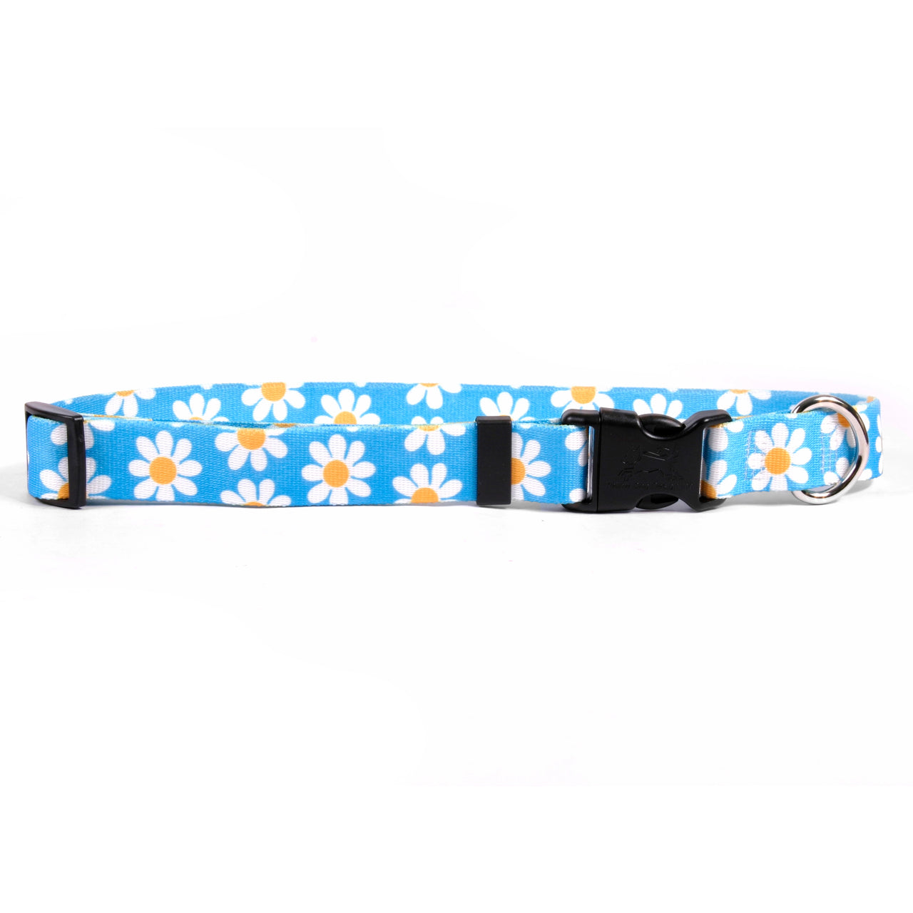 Yellow Dog Design Collar, Blue Daisy