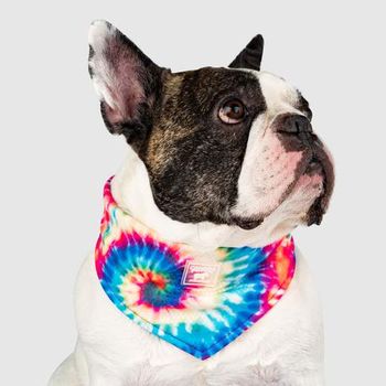 Canada Pooch Cooling Bandana Tie Dye Large