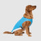Canada Pooch Cooling Vest Blue, 16"