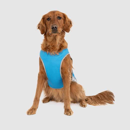 Canada Pooch Cooling Vest Blue, 16"