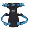 Coastal K9 Explorer Brights Harness, Padded