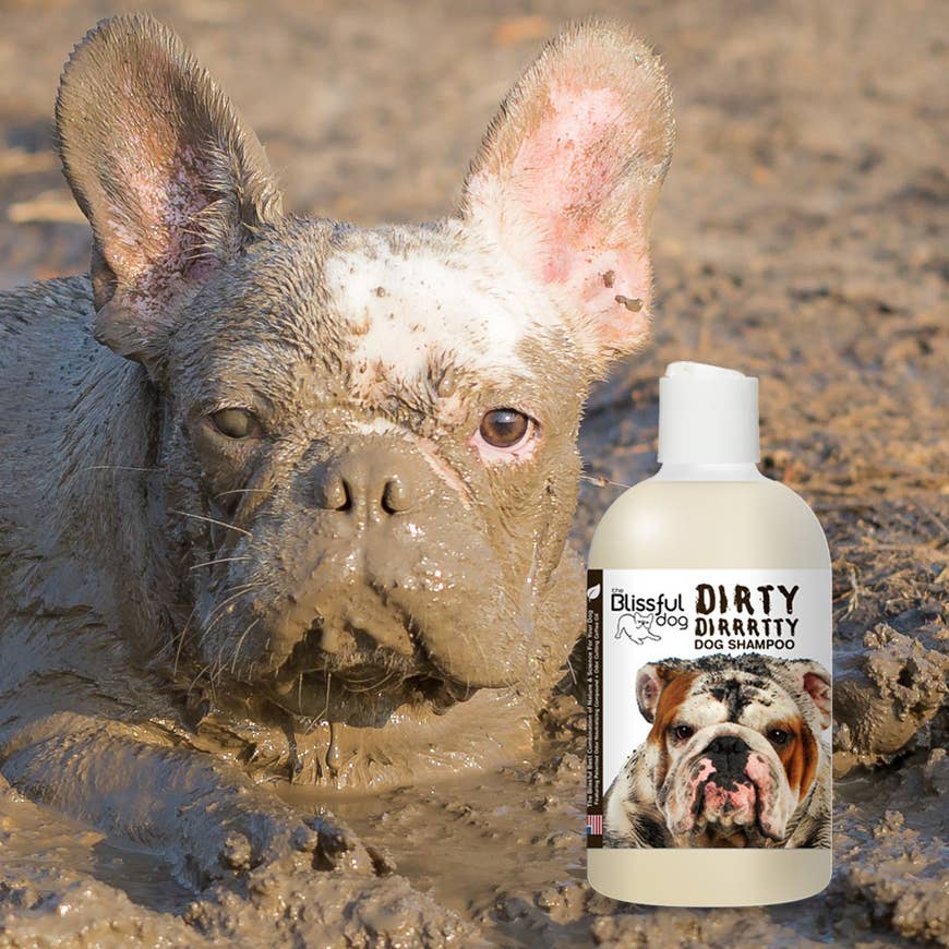 Dirty Dirrrtty Dog Shampoo, 8 oz