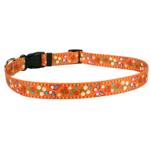 Yellow Dog Design Collar, Festive Butterfly Orange