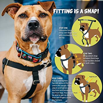 2 Hounds Design No Pull Freedom Harness with Leash