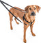 2 Hounds Design No Pull Freedom Harness with Leash