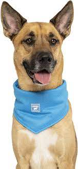 Canada Pooch Cooling Bandana, Blue