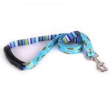 Yellow Dog Designs Martingale Collar, Blue Paisley
