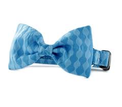 Sophisticated Pup, Blue Waves Bow Tie Dog Collar