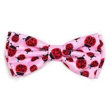 Worthy Dog Bow Tie "Flower Ladybugs" Pink