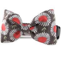 Sophisticated Pup, Daisies In Taupe Bow Tie Dog Collar