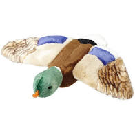 Fluff & Tuff Wally Mallard