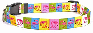 Yellow Dog Designs Collar, Pink Flamingo