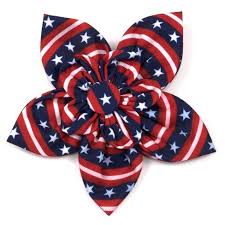 Worthy Dog Flower "Stars & Stripes"- Red, White & Blue