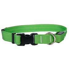 ORION LED Dog Collar, Spring Green