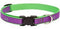 Lupine Dog Collars