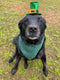 Sun Dog Scrunchy Bandana - St. Patrick’s Day