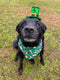 Sun Dog Scrunchy Bandana - St. Patrick’s Day