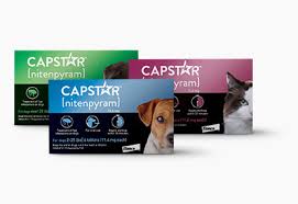 Capstar Flea and Tick, 6 Tablet Pack