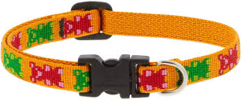 Lupine 1/2” Collar
