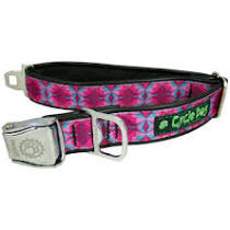 Cycle Dog Collar Kaleidoscope Fuchsia/Teal