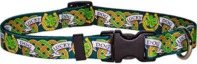 Yellow Dog Designs Collar, Lucky Dog
