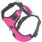 BayDog Chesapeake Harness