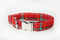Barks & Bites Collar