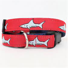 Beach Biscuit Shark Red Collar, 1"