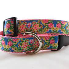 Beach Biscuit Dive Sea Turtle Collar, 1"
