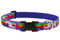 Lupine Dog Collars