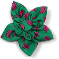 Worthy Dog Flower Watermelon Green
