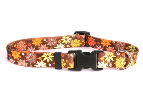 Yellow Dog Design, Autumn Flowers